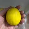 京鲜生 安岳黄柠檬16粒 单果95g-120g 生鲜水果 实拍图