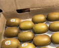佳沛（zespri）新西兰 阳光金奇异果12粒礼盒特大果单果约122-146g 猕猴桃 水果 实拍图