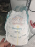 帮宝适散热王者一级帮婴儿拉拉裤尿不湿尿片尿布超薄透气L+31 实拍图