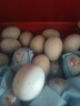 河南溏心皮蛋松花蛋无铅工艺腌制凉拌鸭蛋60-70g早餐买菜生鲜超市 6枚松花蛋【单枚60-70g】 实拍图