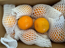 京鲜生 无核蜜桔 精选5斤装橘子/桔子  单果100g+ 生鲜水果礼盒 实拍图