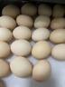 九華粮品有机富硒土鸡蛋20枚 净重1.6斤 散养草鸡蛋 柴鸡蛋 礼盒 实拍图