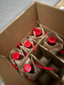 剑南春 纸袋 醇酿经典绵竹大曲 52度 500ml*12瓶 整箱装 浓香型白酒 实拍图