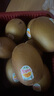 佳沛（zespri）新西兰阳光金奇异果 8个装 特大果单果重约122-146g 水果猕猴桃 实拍图