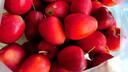 映棠 东北鸡心果5斤【顺丰快递—多地次日达】海棠果玫瑰小苹果礼盒装 3斤大果【人工精选】 现摘现发 实拍图