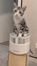 霍尼韦尔（Honeywell）宠物空气净化器吸猫毛除过敏源猫猫搭子 猫毛净化器杀菌消毒除异味【家电国家补贴】KJ360F-C22W 实拍图