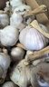 静益乐源山东紫皮蒜大蒜干大蒜蔬菜批发干蒜自种大蒜种子多瓣蒜当季蔬菜 精品大蒜【45mm中果】净重4.5斤 精选今年大蒜 实拍图