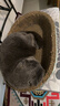 疯狂的主人猫抓板窝碗形超大号猫抓盆不掉屑猫窝宠物猫玩具瓦楞纸猫爪板 实拍图