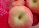 京鲜生 烟台红富士苹果 净重5斤  单果190g起 水果礼盒 实拍图