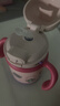 babycare儿童保温杯婴儿宝宝吸管水杯霸王龙不锈钢保温杯300ml-新旧款混发 实拍图