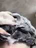 徽歌淘米水洗发水护发素 柔顺去屑止痒控油蓬松洗头膏男女士洗护套装 黑米清爽控油洗发水 500ml 实拍图