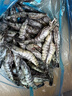鲜京采 鲜冻大号黑虎虾 去冰净重2斤 31-40只/盒 斑节对虾 实拍图