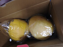 京鲜生 福建红心蜜柚 4粒大果 净重约10-12斤 生鲜柚子水果礼盒 实拍图