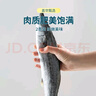盖世 鲅鱼冷冻一斤装  2条 海鲜鲅鱼 生鲜烹饪食材 水产 实拍图