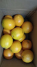 集南鲜 赣南脐橙 江西橙子新鲜现摘水果脐橙时令生鲜水果甜橙 水果礼盒 净重9斤 精品橙 单果160-220g 实拍图
