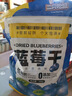 三只松鼠每日蓝莓干500g 蜜饯果干酸甜休闲零食下午茶孕妇儿童健康零食 实拍图