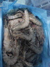 卖鱼郎先生青岛盐冻大虾净重3斤 15-20只/斤 白虾大虾基围虾生鲜 虾类 实拍图