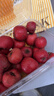 京鲜生 甜红子红山楂 新鲜山楂300g 尝鲜装 生鲜水果 实拍图