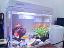 森森（SUNSUN）超白鱼缸一体缸自循环客厅水族箱桌面家用懒人免换水小型金鱼缸 超白HEJ250标配 带滤材+棉 实拍图