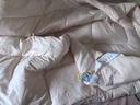 富安娜 舒暖七孔抗菌纤维被芯 双人四季被 春秋被子4.7斤 203*229cm 粉 实拍图