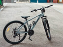 喜德盛（xds）山地自行车黑客350/旭日310 X6铝合金车架21速变速机械碟刹 旭日310石岩灰15.5寸 实拍图
