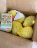 京觅福建红心芭乐 番石榴 应季 低糖孕妇水果 单果150g 净重3斤装 实拍图