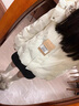妍莉芬（yanlifen）羽绒棉服女冬季2025新款短款小个子羽棉袄绒服加厚洋气棉衣外套女 美拉德白 M 【推荐105-120斤】 实拍图