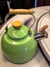 苏泊尔SUPOR 鸣笛不锈钢开水壶 复合底磁通烧水壶 2.5L绿色ES25TS01-G 实拍图