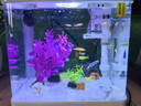 森森桌面鱼缸生态玻璃小型懒人免换水家用缸鱼缸一体缸自循环 (高清玻璃)白230+水草景(带20件套) 实拍图