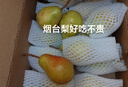 京地达烟台太婆梨软梨净重5斤单果150g+新鲜香蕉大头啤酒梨源头直发包邮 实拍图