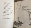爱心树（2018精装版）谢尔·希尔弗斯坦经典绘本  寓言故事书 品格培养情商养成 阿甲推荐 3-6岁 爱心树童书 实拍图