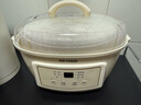 天际电炖锅 电炖盅 隔水炖锅 煲汤锅炖汤锅 婴儿辅食煮粥锅 养生燕窝炖盅 白瓷胆 DGGD23A183BBW 1.8L 实拍图