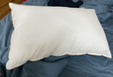 水星家纺枕头枕芯酒店枕头护颈枕头芯家用单个纯棉抗菌可水洗低枕48x74cm 实拍图