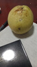 南步河北赵县雪花梨 赵州特产冰糖雪梨秋月梨香梨鸭梨皇冠梨新鲜水果 3斤 精选大果【单果280g+】 实拍图