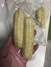 京鲜生云南拇指小玉米 2斤 西双版纳儿童糯玉米 源头直发 包邮 实拍图