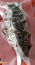 官参堂 大连底播即食海参新鲜辽刺参海鲜水产礼盒 500g 9-12只 甄选 实拍图