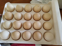 京喜加土鸡蛋 新鲜鸡蛋山林自养 生鲜溏心蛋 卤蛋早餐京东买菜40g正负5g 20枚装总重800g+ 实拍图
