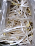 【有机】绿豆芽 200g 实拍图