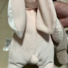 澳贝（auby）婴幼儿玩具抗菌小兔安抚巾宝宝哄睡神器阿贝贝毛绒手偶新生儿礼物 实拍图