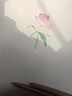 马可（MARCO）8K素描纸素描本20张速写彩铅画卡纸美术生初学者学生专用素描铅笔绘画纸联考试用纸美术写生 实拍图