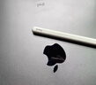 Apple/苹果 Pencil Pro 磁吸触控笔手写笔苹果笔电容笔书写绘画ipad笔 适用于iPad mini/Pro/Air 实拍图