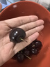 京鲜生 智利进口Santina车厘子2J级5斤礼盒装果径约28-30mm【赠送卡尺】 实拍图