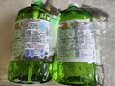 立白 茶籽洗洁精2.9kg A类去污洁净99%除菌去油快不伤手洗涤灵洗碗液 实拍图