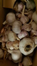 京鲜生山东金乡大蒜带皮新鲜干蒜净重5斤单果4.5cm起 【品酒会同款】 实拍图