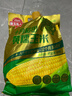 十月稻田 黄糯玉米 3.52斤(220g*8根)  杂粮粗粮 东北玉米 低脂早餐 新米 实拍图