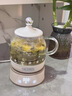 膳魔师（THERMOS） 迷你养生壶办公室煮茶器电水壶恒温电热水壶玻璃花茶壶养生杯 礼物 七夕情人节礼物 EHA-1602E-G(本白色） 0.55L 实拍图