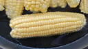 新鲜甜玉米水果玉米甜脆金银玉米棒可生吃爆浆蔬菜营养早餐代餐 新鲜黄金水果玉米5斤 实拍图