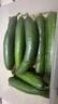 山东寿光水果黄瓜生吃脆新鲜荷兰青瓜当季无刺小黄瓜源头直发 精品水果黄瓜 2斤 实拍图