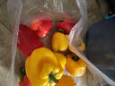 彩椒五彩甜椒水果圆椒不辣太空椒灯笼椒新鲜可即食减脂蔬菜 彩椒红+黄1斤 实拍图