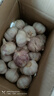 精选新鲜山东大蒜干蒜多瓣蒜头蔬菜批发产地直发大蒜头 优选 3斤 (果径≥3.5cm) 实拍图